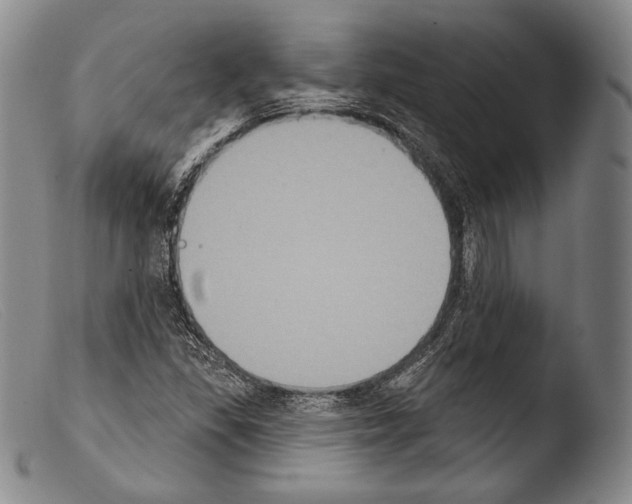 X0000103951309200810311540