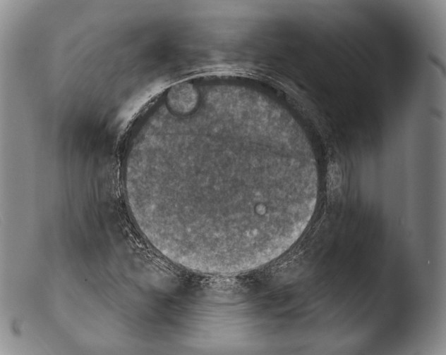 X0000103951310200810311540