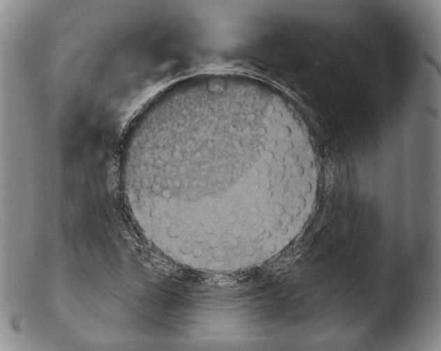 X0000103951311200810311540