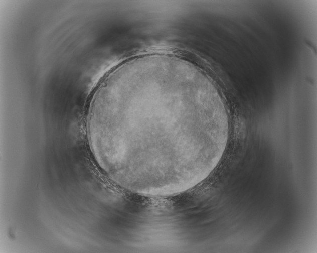 X0000103951312200810311540