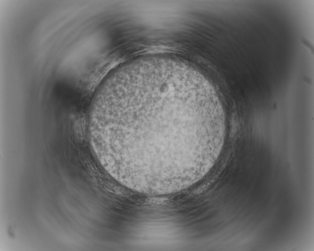 X0000103951313200810311540