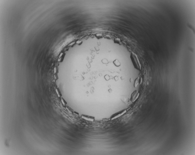 X0000103951314200810311540