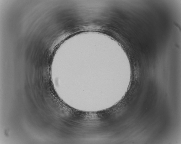 X0000103951315200810311540