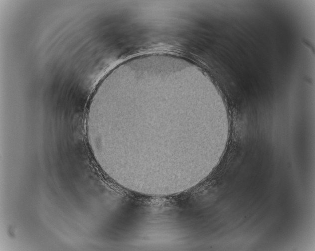 X0000103951316200810311540