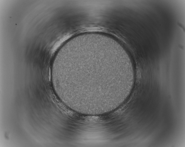 X0000103951317200810311540