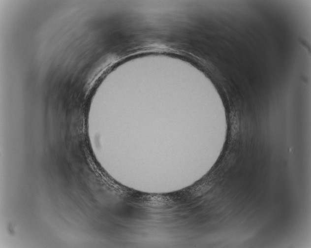 X0000103951318200810311540