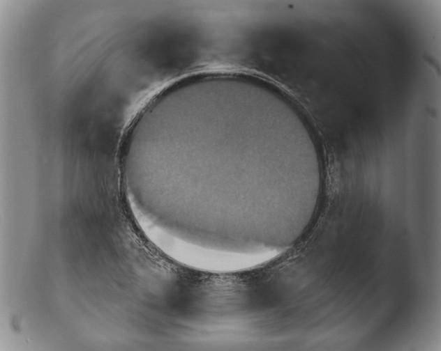 X0000103951319200810311540