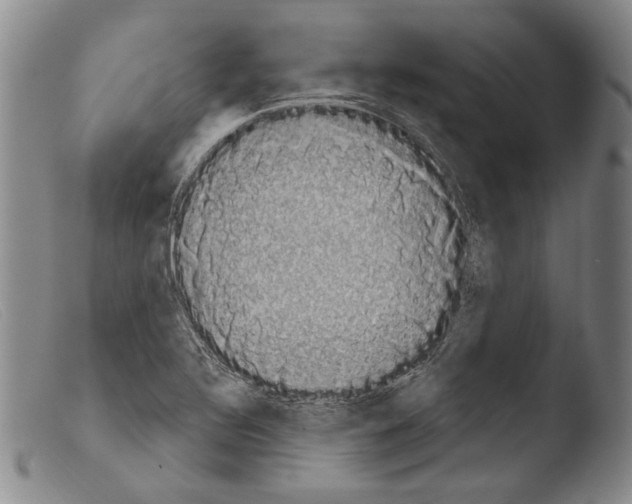 X0000103951320200810311540