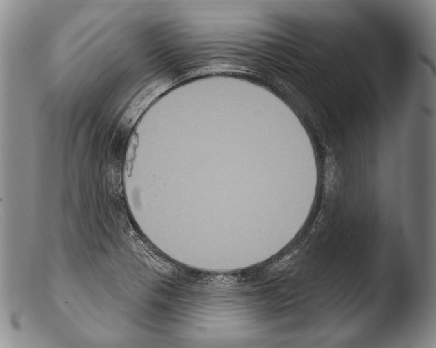 X0000103951321200810311540