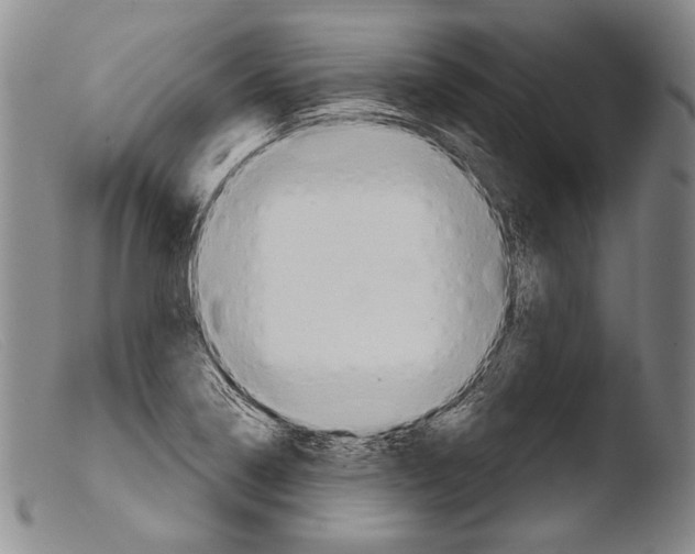 X0000103951322200810311540