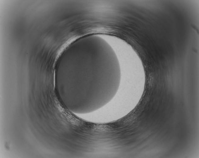 X0000103951323200810311540