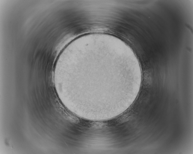 X0000103951324200810311540