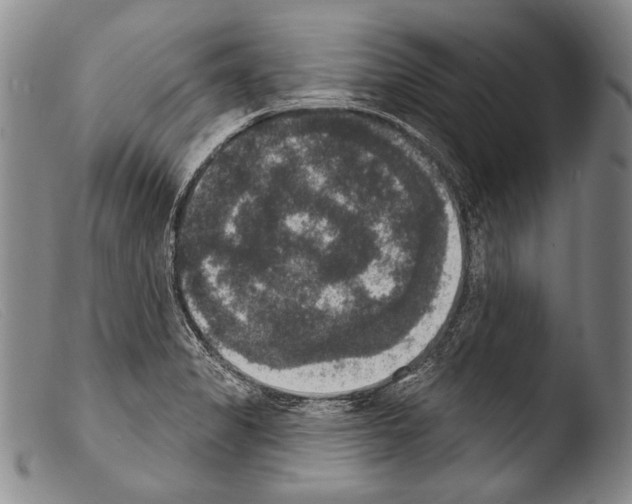 X0000103951325200810311540
