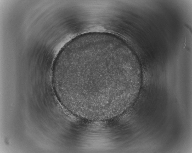 X0000103951326200810311540