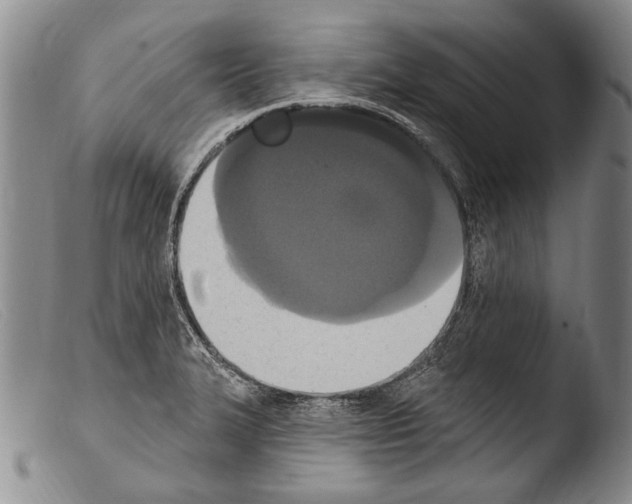 X0000103951327200810311540