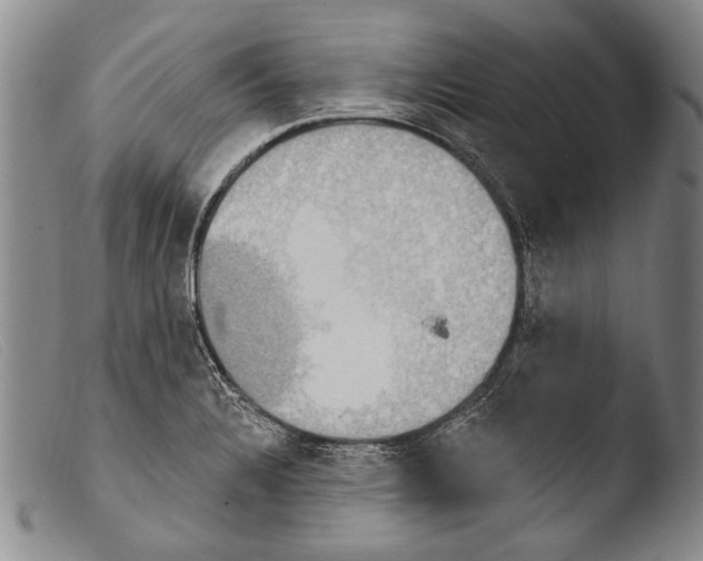 X0000103951328200810311540