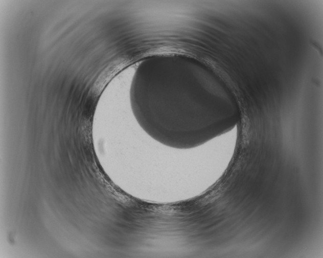 X0000103951329200810311540