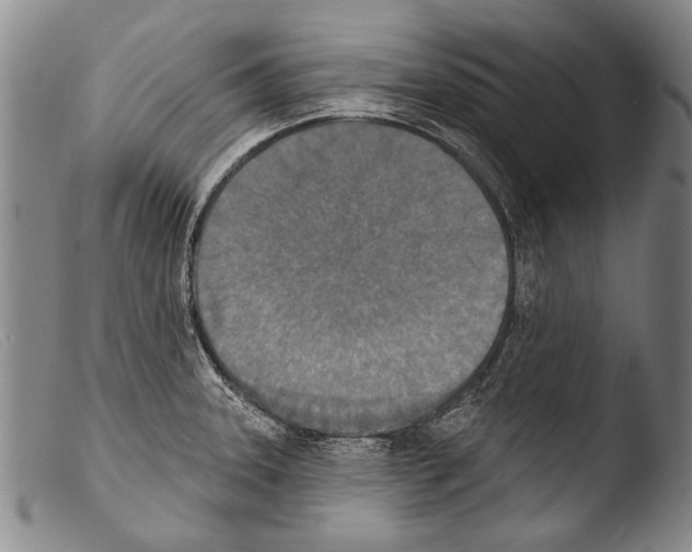 X0000103951331200810311540