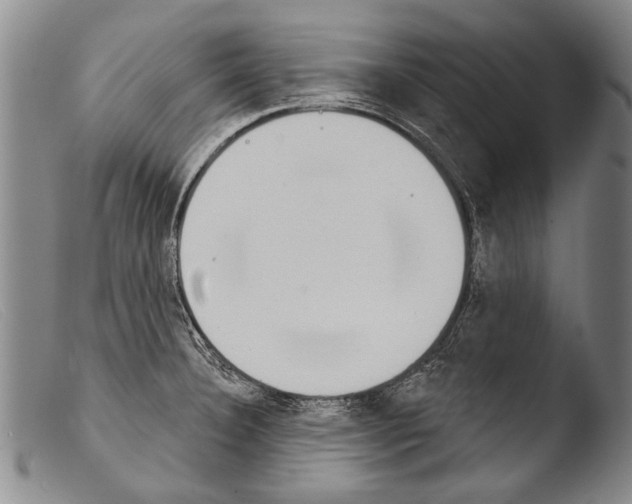 X0000103951332200810311540