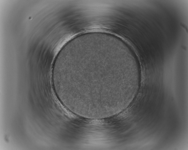 X0000103951333200810311540