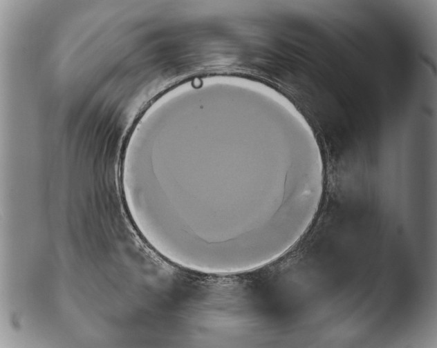 X0000103951334200810311540