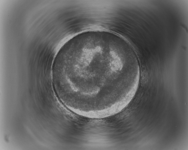 X0000103951335200810311540