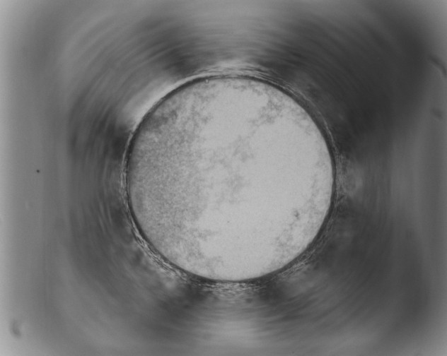 X0000103951336200810311540