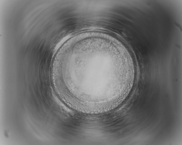 X0000103951338200810311540