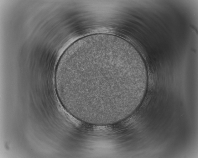 X0000103951339200810311540
