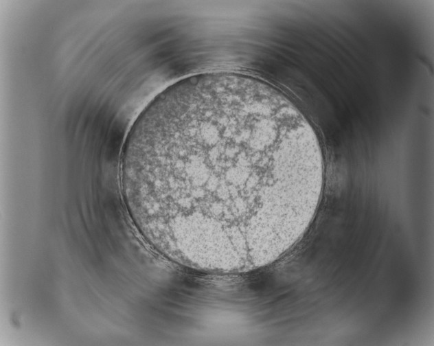 X0000103951340200810311540