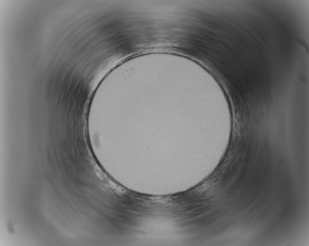 X0000103951341200810311540