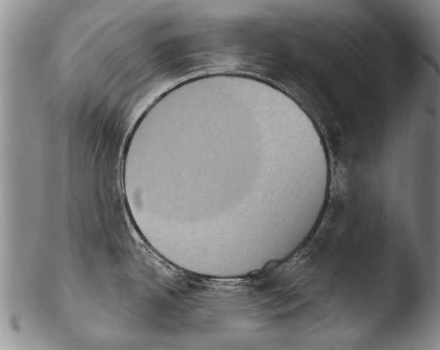 X0000103951342200810311540