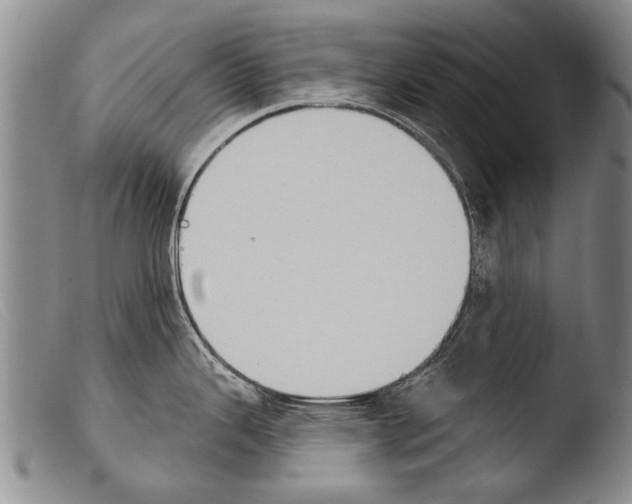 X0000103951343200810311540