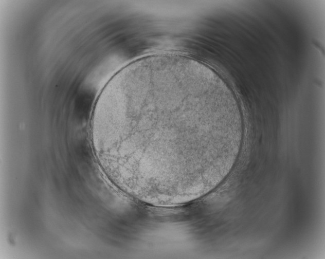 X0000103951344200810311540