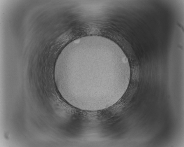 X0000103951345200810311539