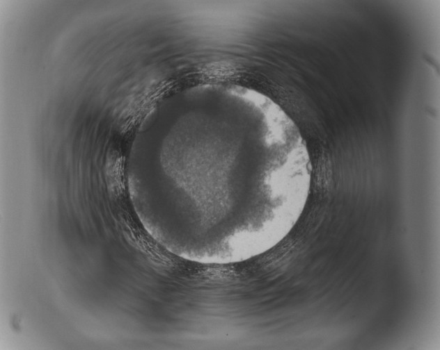 X0000103951346200810311539
