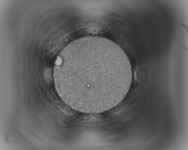 X0000103951347200810311539