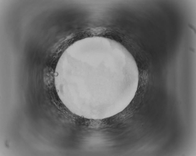 X0000103951349200810311539