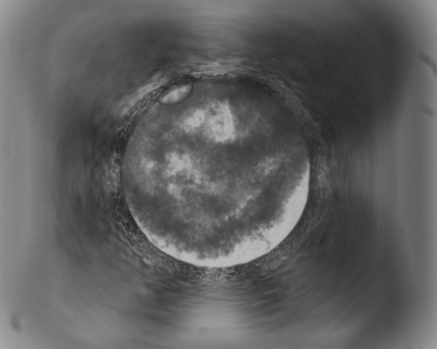 X0000103951350200810311539