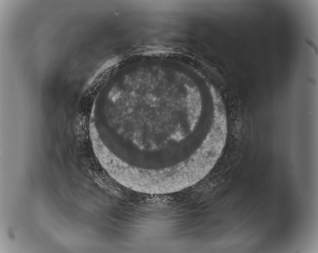 X0000103951351200810311539