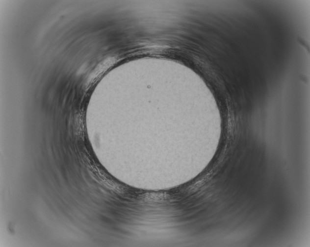 X0000103951354200810311539