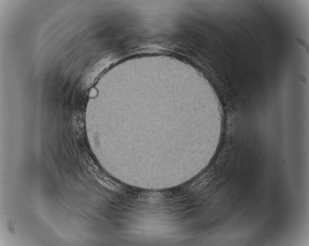 X0000103951355200810311539