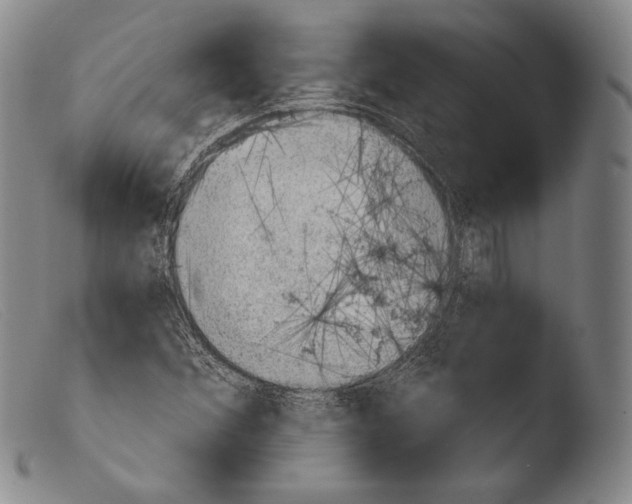 X0000103951356200810311539