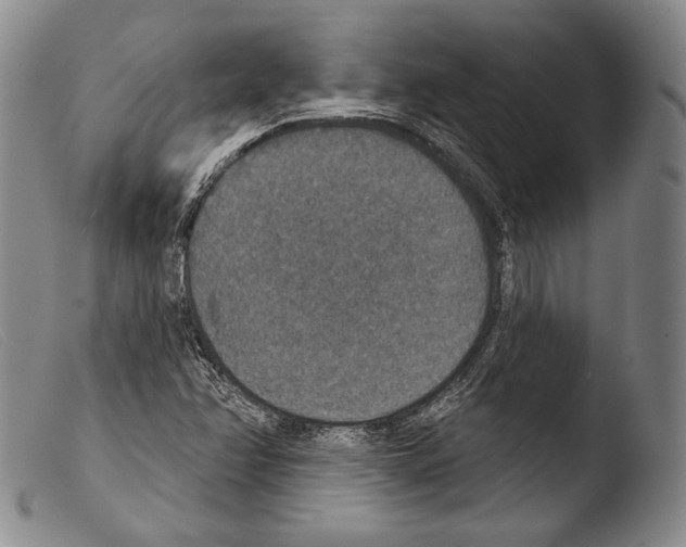 X0000103951358200810311539