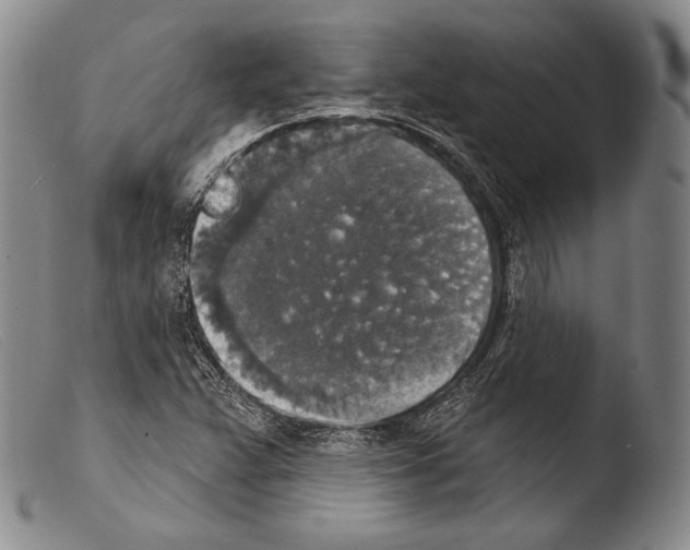 X0000103951359200810311539