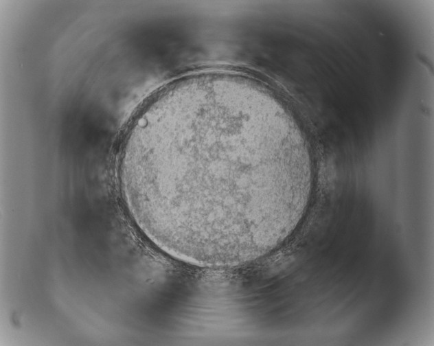 X0000103951360200810311539