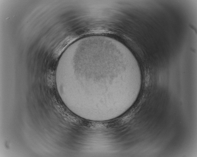 X0000103951361200810311539