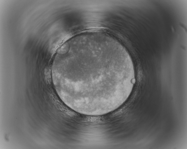 X0000103951362200810311539