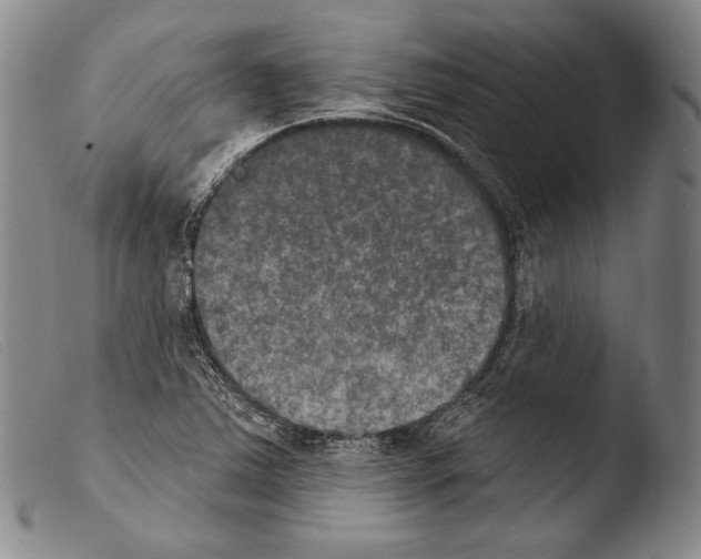 X0000103951363200810311539