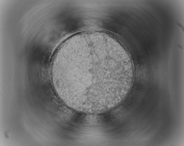 X0000103951364200810311539